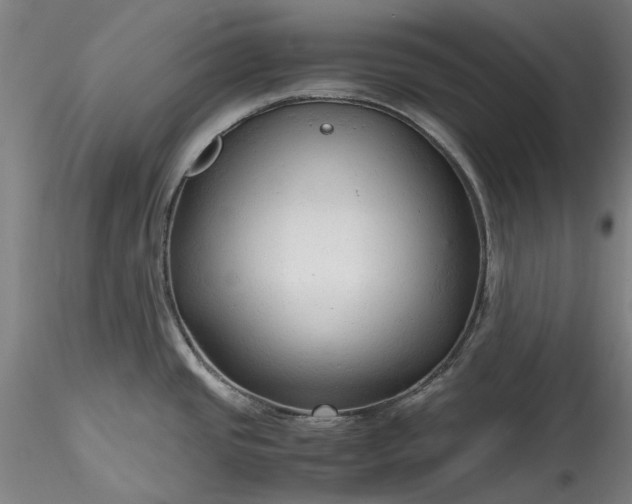 X0000115801437200911271240