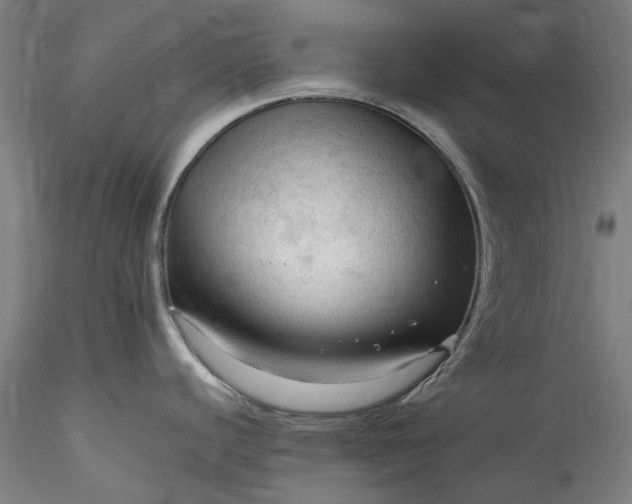 X0000115801440200911271240