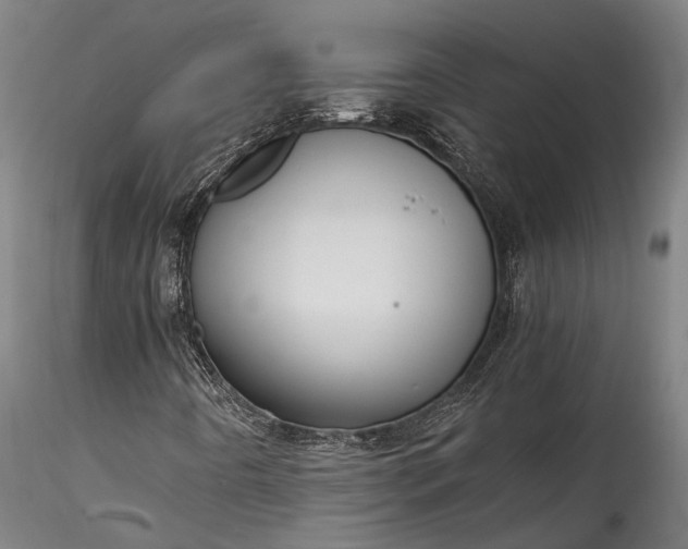 X0000115801442200911271239