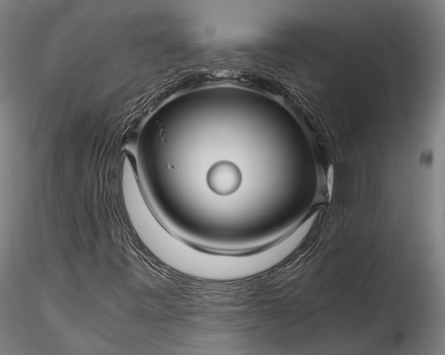 X0000115801443200911271239