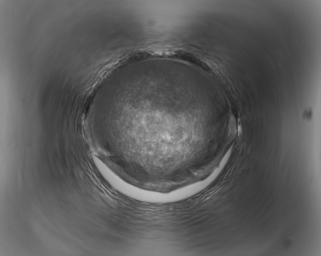 X0000115801444200911271239