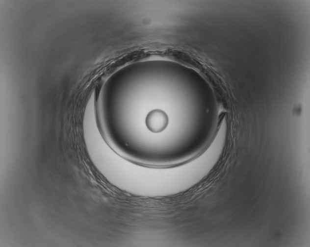 X0000115801445200911271239