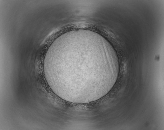 X0000115801446200911271239