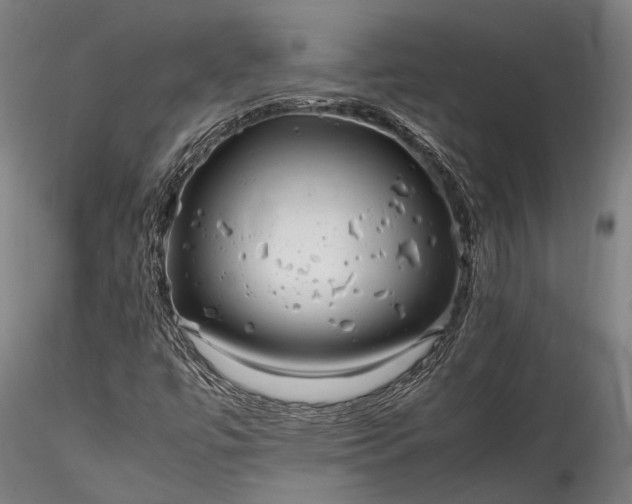 X0000115801447200911271239