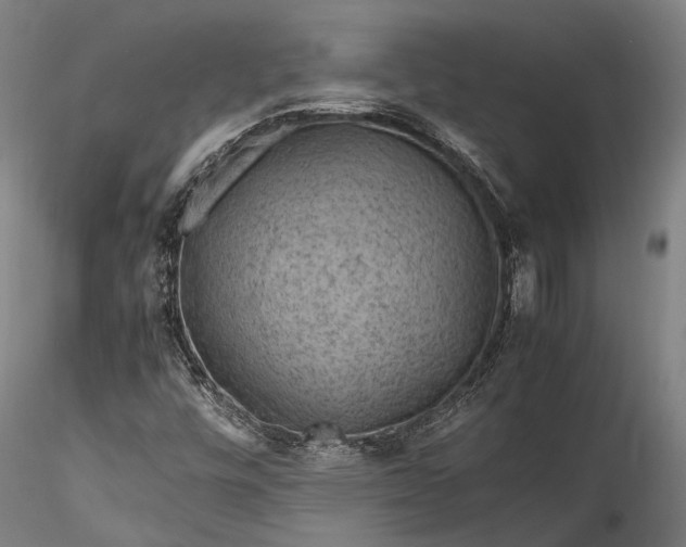 X0000115801448200911271239