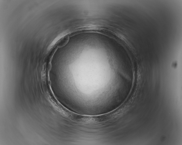 X0000115801450200911271239