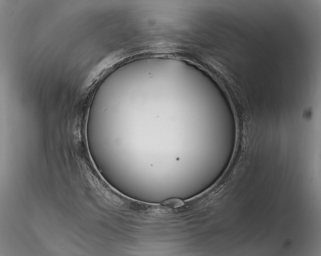 X0000115801451200911271239