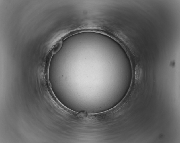 X0000115801452200911271239