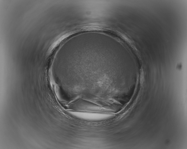 X0000115801453200911271239