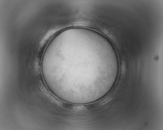 X0000115801454200911271239