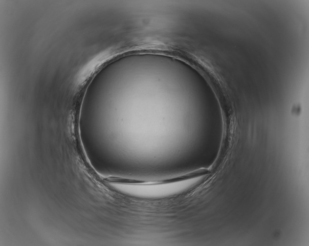 X0000115801455200911271239