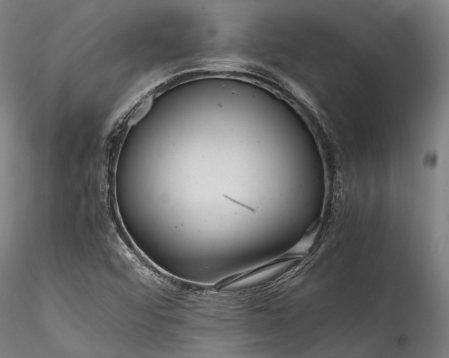 X0000115801456200911271239