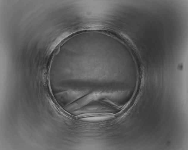 X0000115801457200911271239