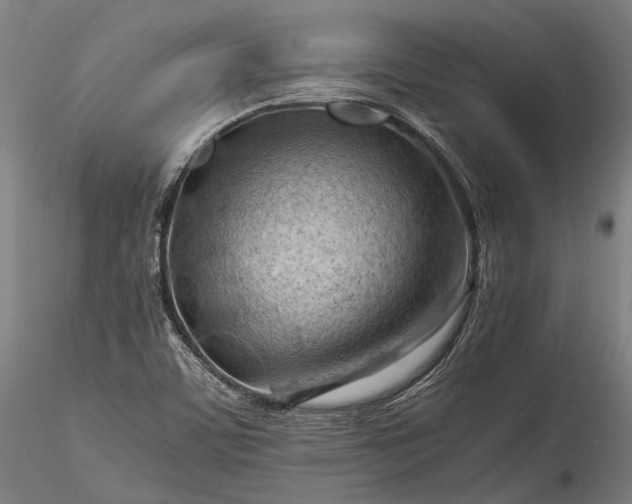 X0000115801459200911271239