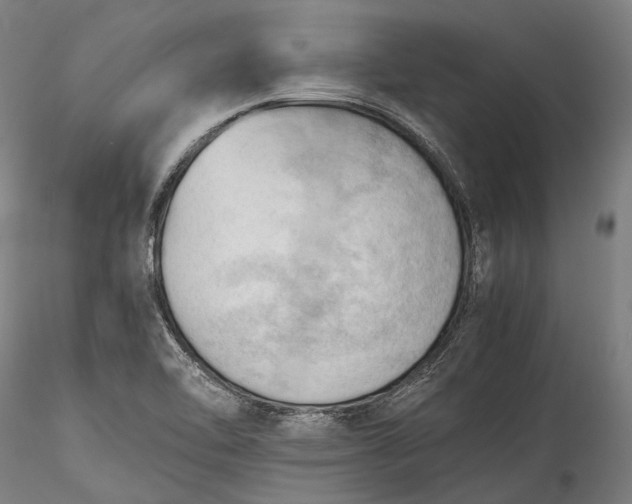 X0000115801462200911271239
