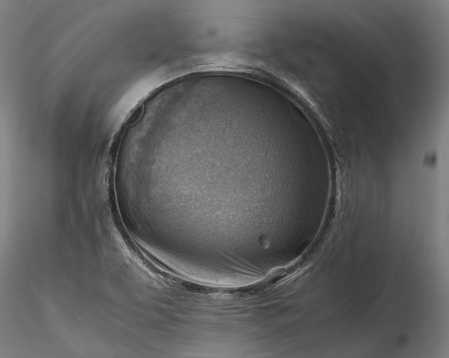 X0000115801463200911271239