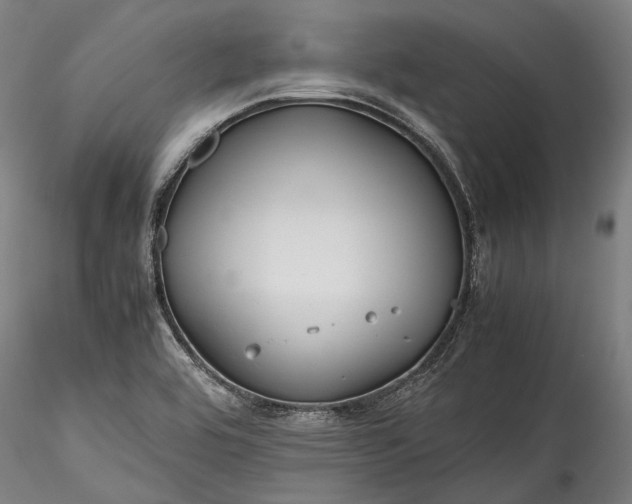 X0000115801464200911271239