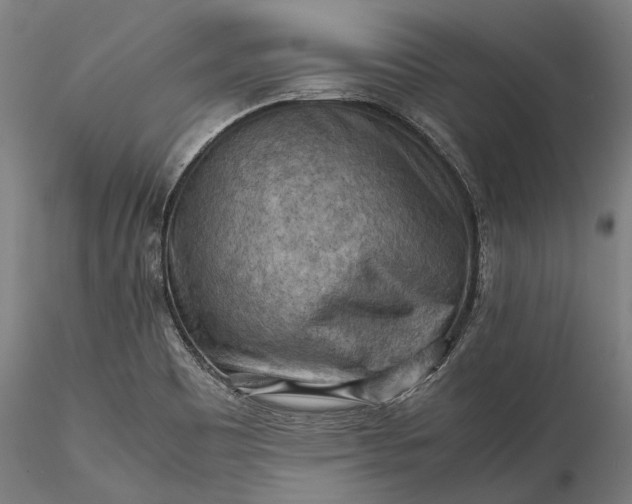 X0000115801465200911271239