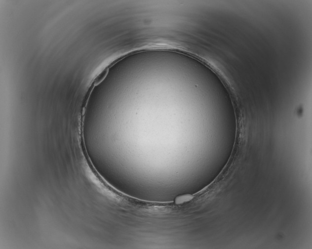 X0000115801476200911271239