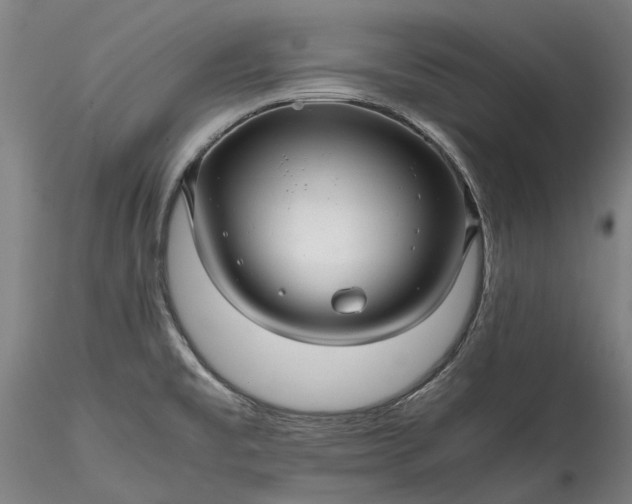 X0000115801477200911271239