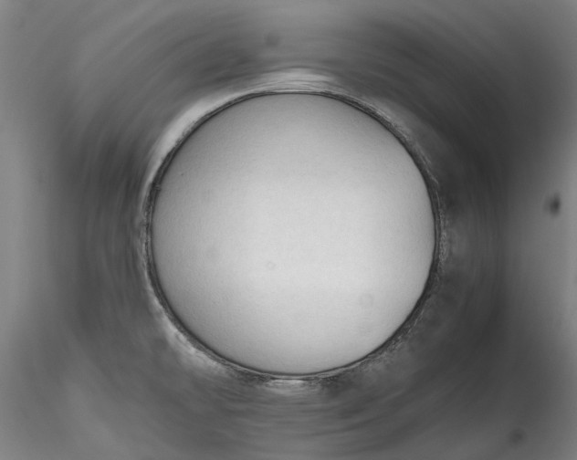 X0000115801478200911271239