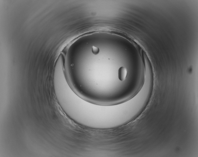 X0000115801481200911271239