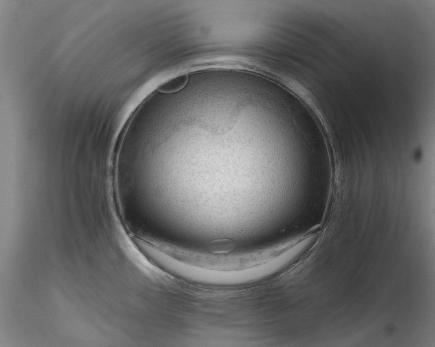 X0000115801482200911271239