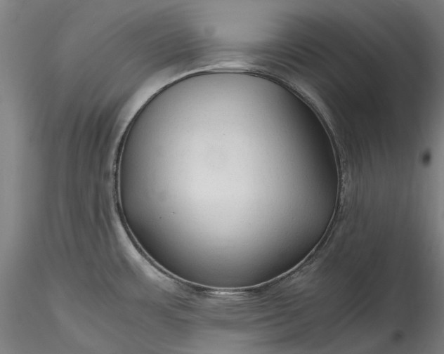 X0000115801483200911271239