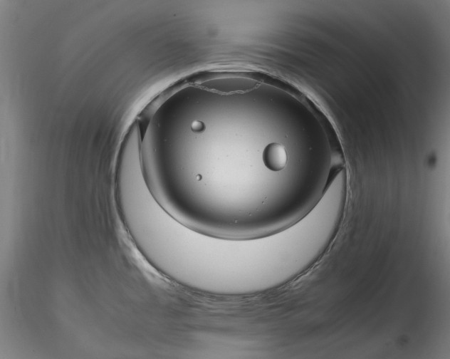 X0000115801485200911271239