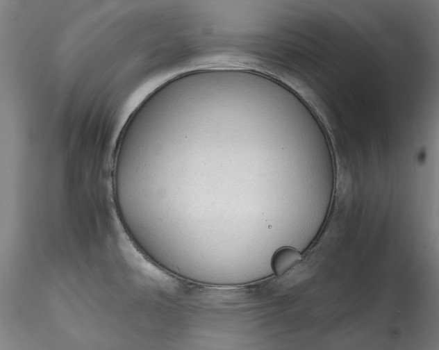 X0000115801486200911271239