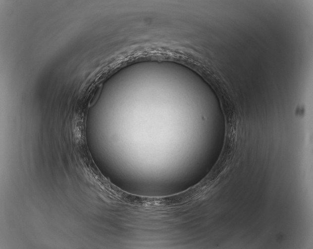 X0000115801490200911271238