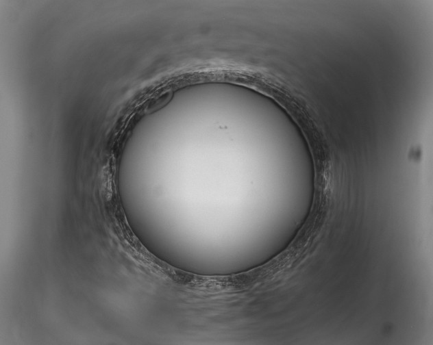 X0000115801493200911271238