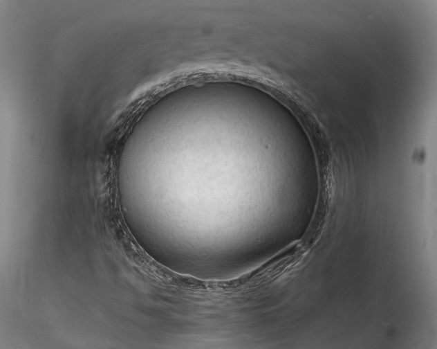 X0000115801494200911271238