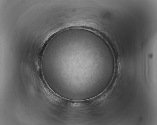 X0000115801497200911271238