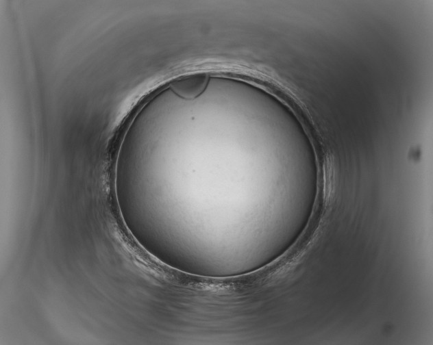 X0000115801501200911271238