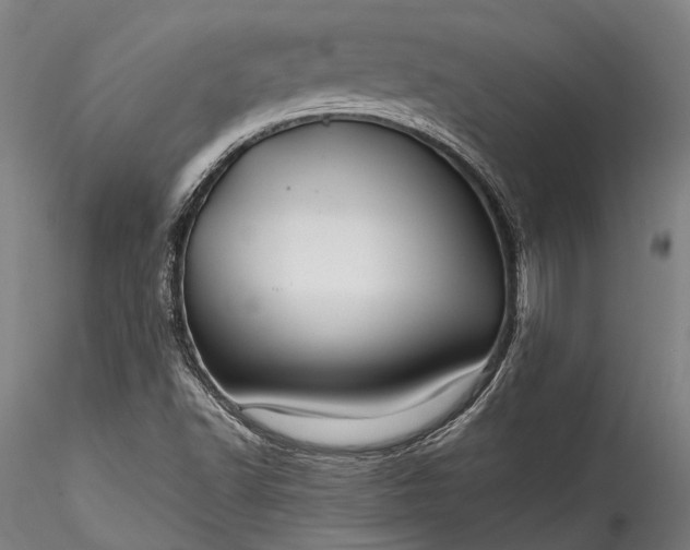 X0000115801502200911271238