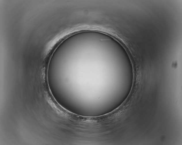 X0000115801503200911271238