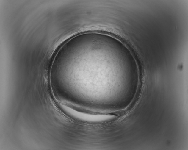 X0000115801505200911271238