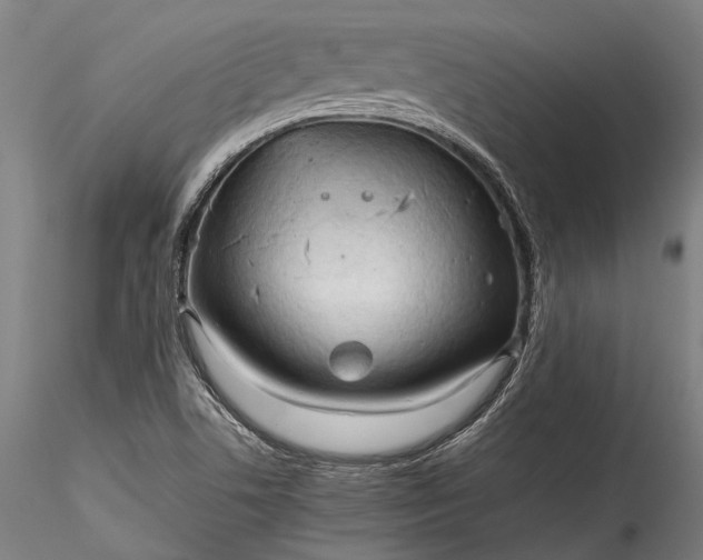 X0000115801506200911271238