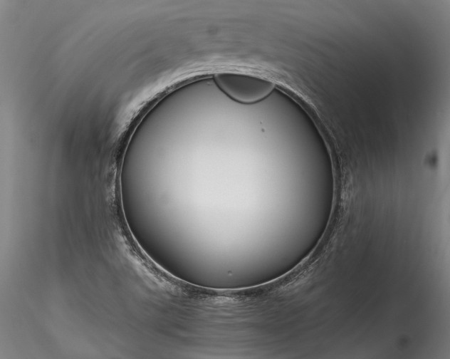 X0000115801507200911271238