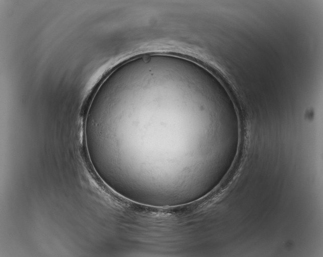 X0000115801509200911271238