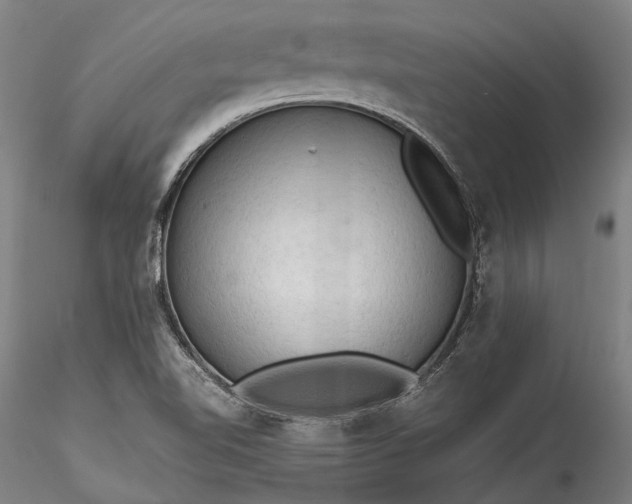 X0000115801510200911271238