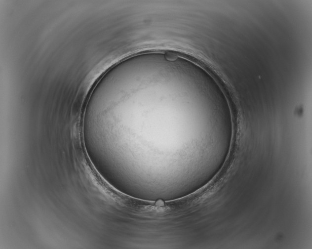 X0000115801513200911271238