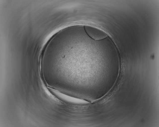 X0000115801515200911271238