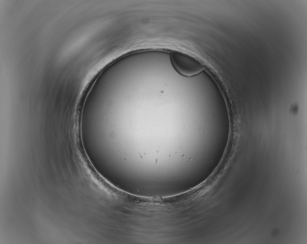X0000115801517200911271238