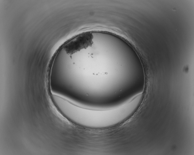X0000115801518200911271238