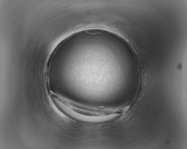 X0000115801519200911271238