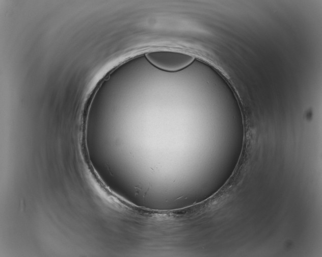 X0000115801523200911271238