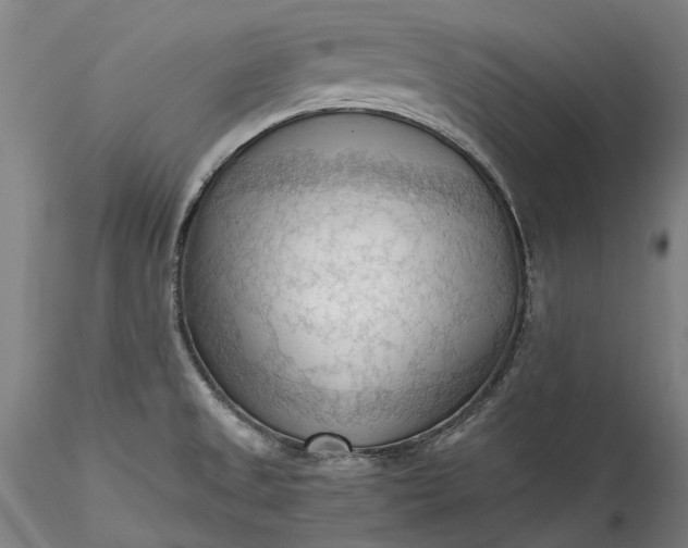 X0000115801525200911271238