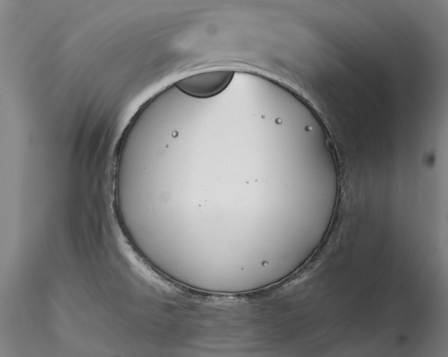X0000115801526200911271238